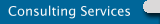 Consulting Services