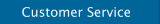 Customer Service 